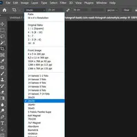 Photosop Crop Boyutlarını Yedeklemek